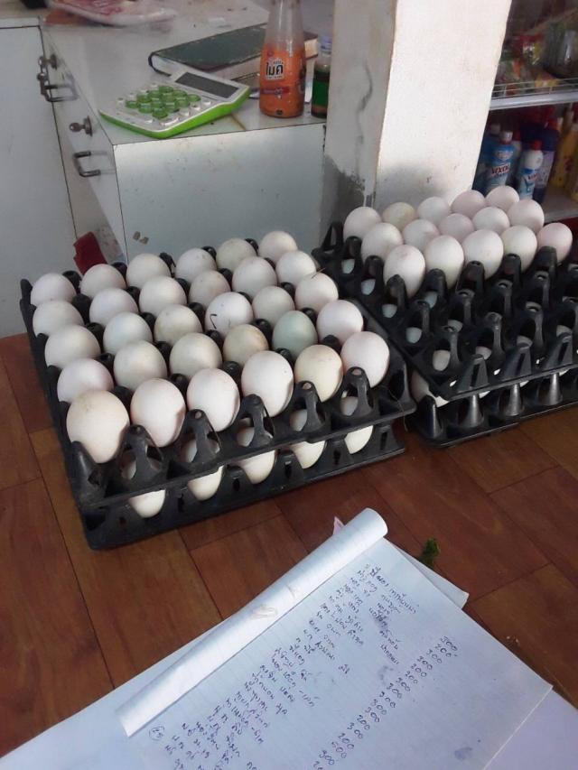 ด้านอาชีพปศุสัตว์